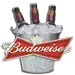 Bud Light Lime Bucket